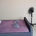 Parking Tv Wifi